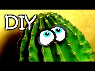 DIY Make Your Cactus Eyed and Funny - creative idea for room decoration