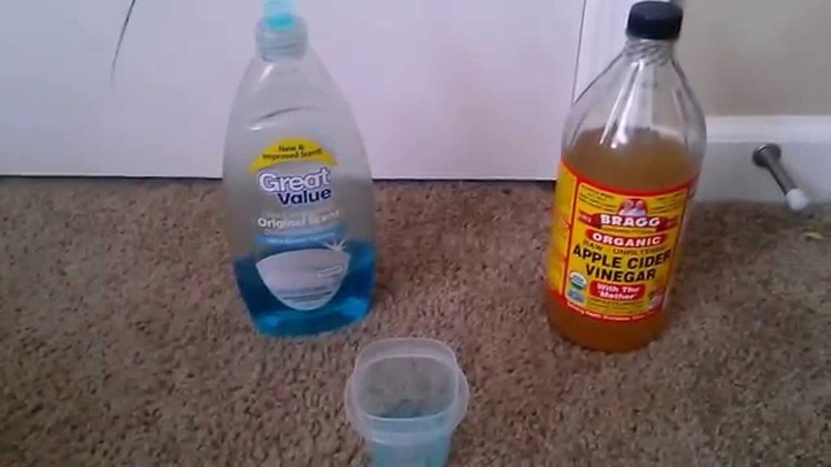 How to get rid of gnats!!