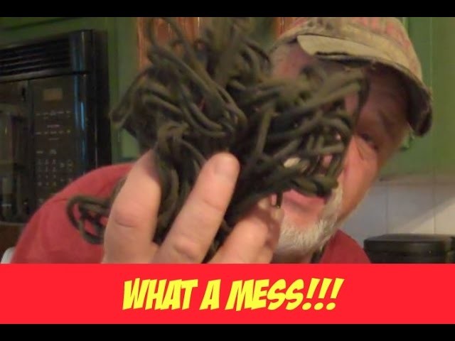 How to roll up a rope so it will NEVER get tangled!!!!