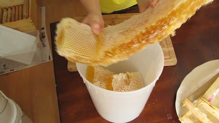 Mudsongs.org: Cutting & Bottling Honey