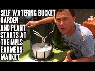 Self Watering Bucket Garden, Plant Starts &  More at the Minneapolis Farmers Market