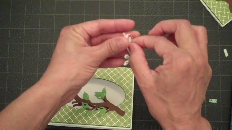 Shadow Box Bird Card-Don Juan Cricut Cartridge & Home Decore