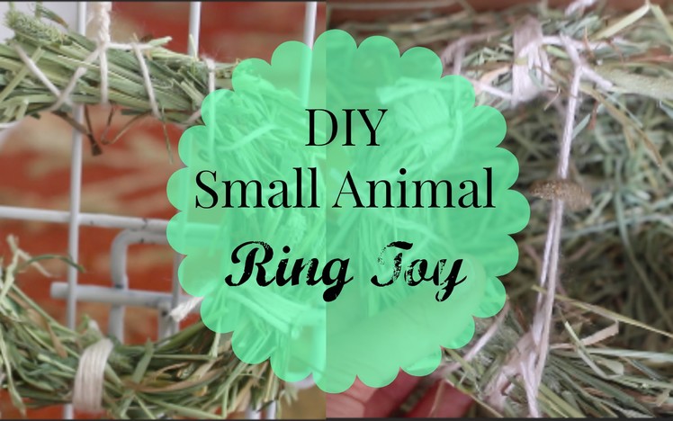 DIY Ring Toy | Hamsters, Guinea Pigs and Rabbits