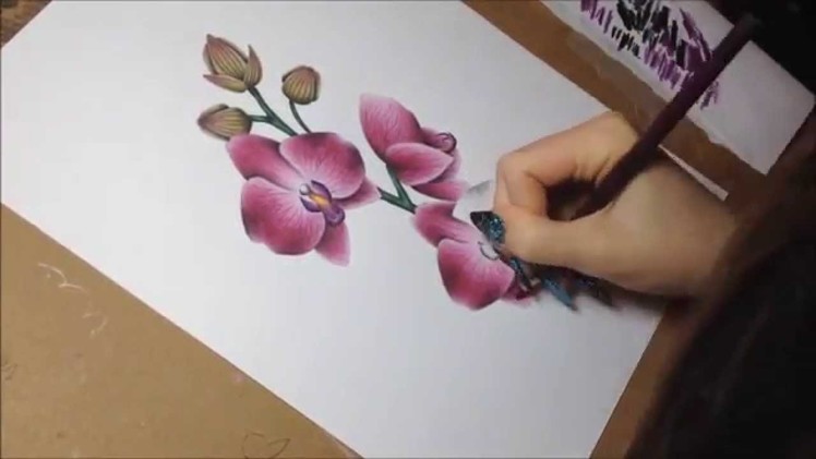 Drawing orchids with colored pencils and watercolor (speeddrawing)