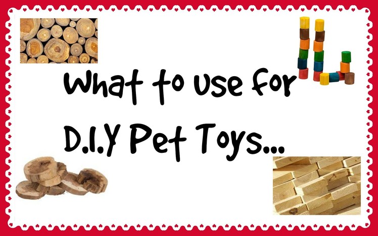 What to use to make D.I.Y pet toys? *2015*