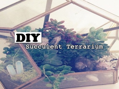 ☾ DIY: Healing Crystal Succulent Terrarium ☽