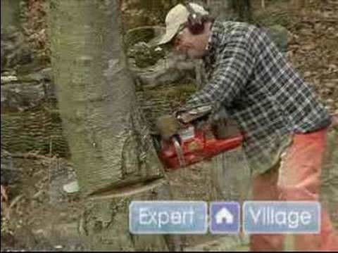 How to Cut Down a Tree : The Proper Angle for the Felling Cut of a Tree