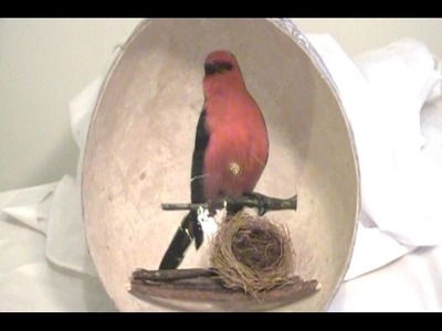 How to Make a Paper Mache Bird Nest for Your Home