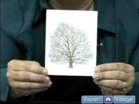 How to Use Rubber Stamps on Handmade Cards : Embossing With Rubber Stamps in Card Making