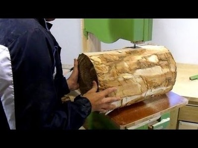 Cutting a log on the bandsaw
