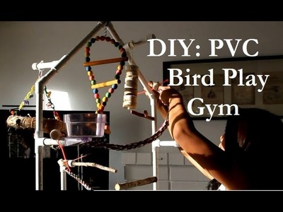 DIY: PVC Bird Play Gym