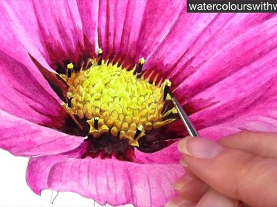 How to paint a realistic flower centre using tone - in watercolour with Anna Mason