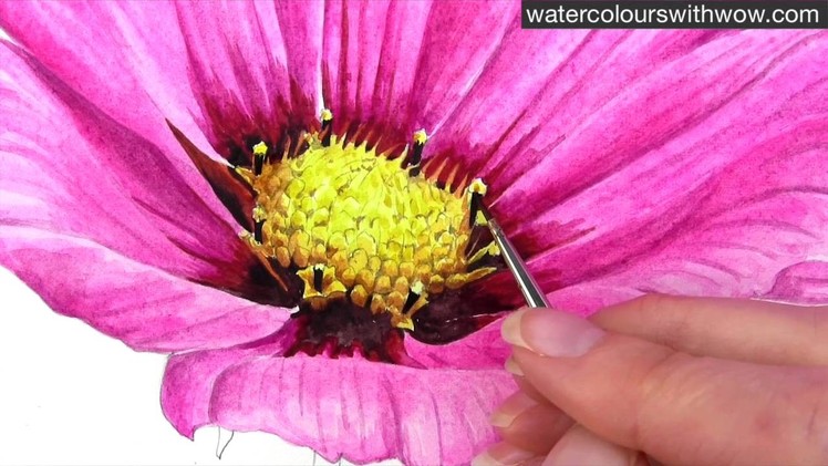 How to paint a realistic flower centre using tone - in watercolour with Anna Mason
