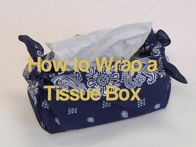 Furoshiki: How to Wrap a Tissue Box (K-12 Instruction Series)