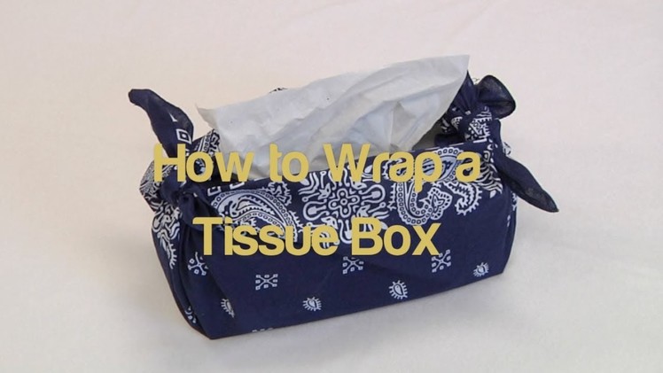 Furoshiki: How to Wrap a Tissue Box (K-12 Instruction Series)
