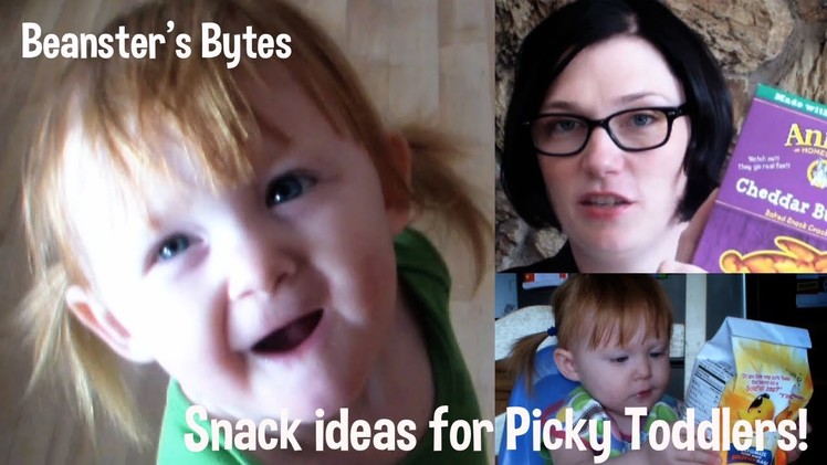 Snack ideas for Picky Toddlers!