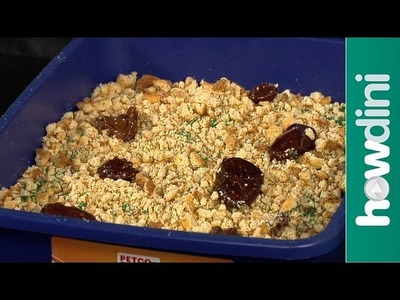 Halloween cake decorating: How to make a kitty litter cake recipe