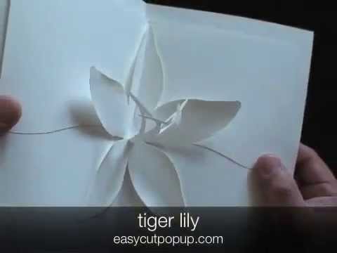 12 Beautiful Easy to Make Kirigami Pop-up Cards