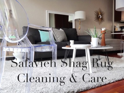 How To Clean & Care for a Safavieh Shag Rug