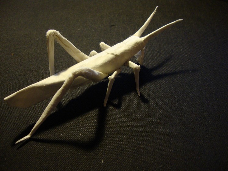 Origami  Grasshopper By Brian Chan