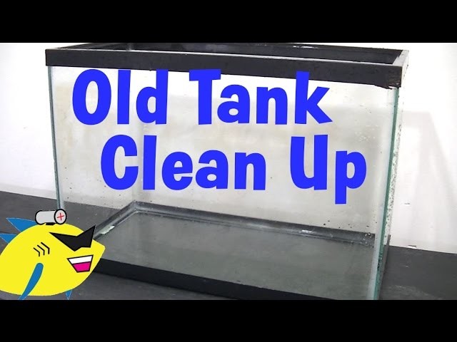How to Clean up an Old Aquarium