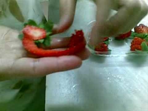 How to make rose flower from strawberry