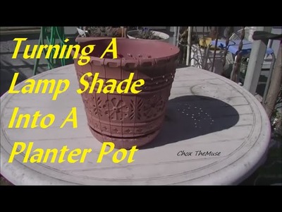 Turning A Lamp Shade Into A Planter Pot