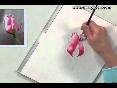 Beginning a Watercolor Painting with Nancy Couick - Part 2 of 5