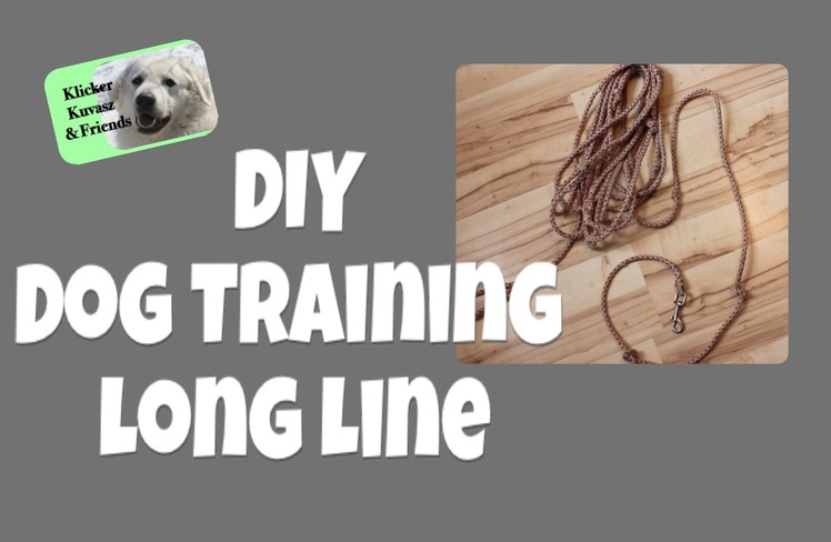 DIY Long Line For Dog Training
