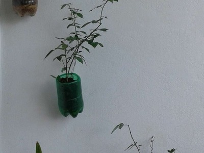 How To Make Drinks  Bottle  Hanging  Planter - DIY Crafts Tutorial - Guidecentral