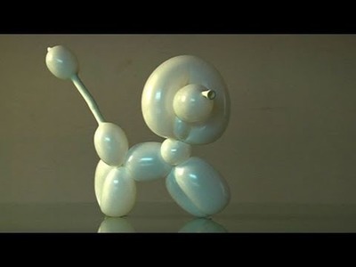 Play with balloons: how to make a Poodle doggie