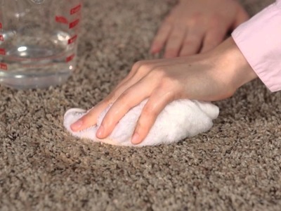 Carpet Stain Removal: What Not to Do