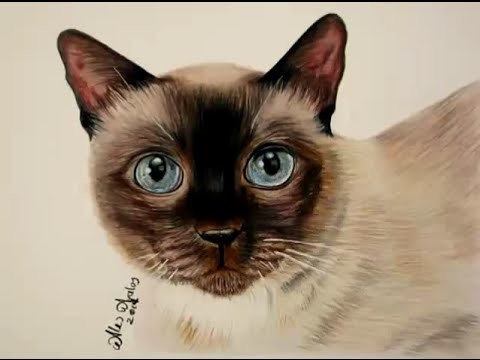 Cómo dibujar pelo de animal (Gato). How to draw a kitten