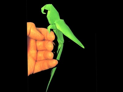 How to make: Origami Parrot. (Manuel Sigro)