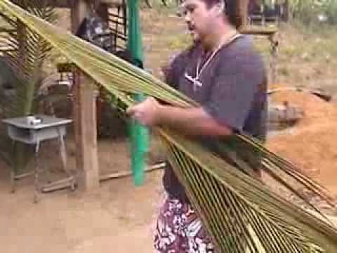 Paul Munet climbing a Coconut tree in Hawaii and weaving in Thailand part 2
