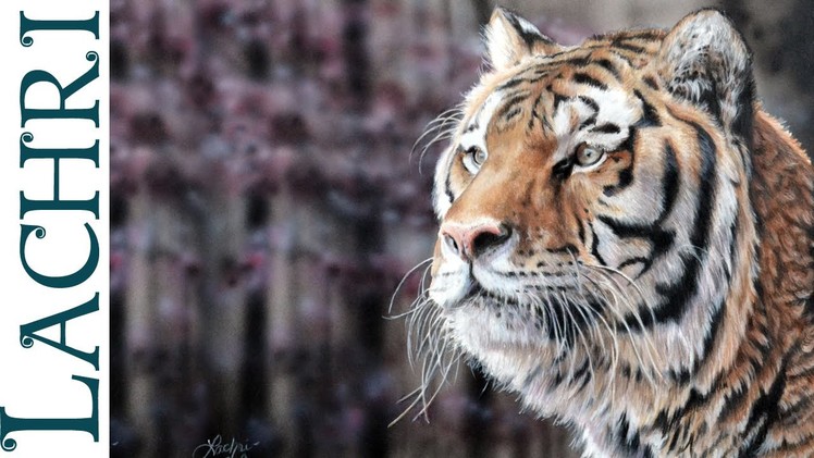 Strathmore Colored Pencil paper review + tiger painting w. Lachri