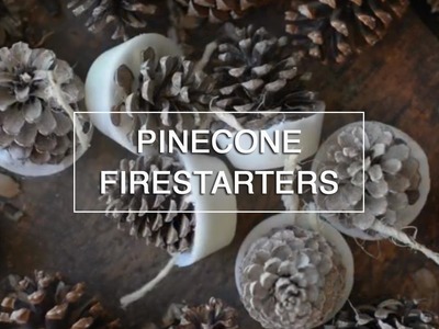 DIY Homemade Firestarters ~ Green Renaissance
