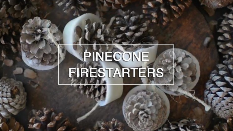 DIY Homemade Firestarters ~ Green Renaissance
