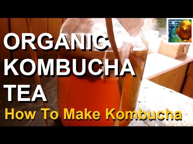 How to Make Organic Kombucha
