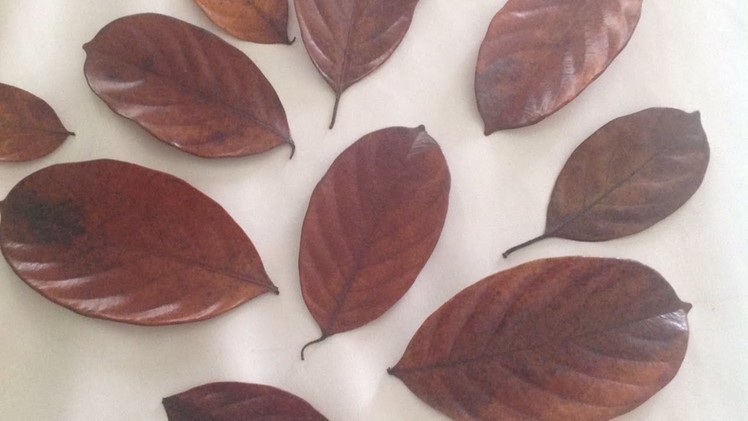 How To Preserve Leaves With Glycerin - DIY Crafts Tutorial - Guidecentral