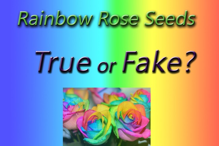 Rainbow Rose Seeds - Is it a FAKE? #1