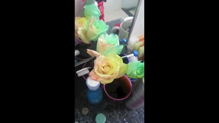 Rainbow Roses DIY