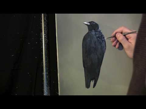 Simple Crow painting lesson preview.  Full lesson available at http:.www.timgagnon.com