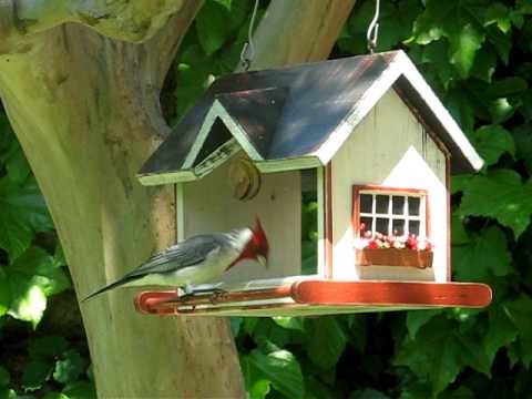 Vrubel bird homes & feeders - Casitas y comederos para pájaros Vrubel