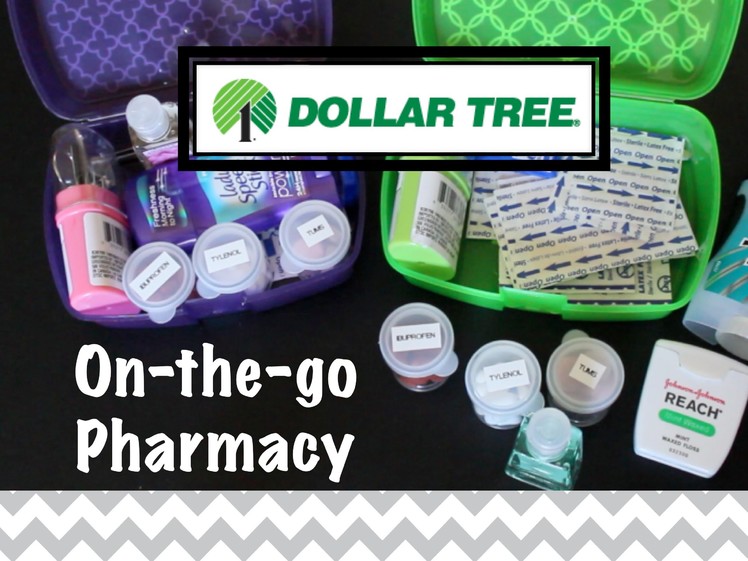 DOLLAR TREE ORGANIZING: On-the-go Pharmacy!