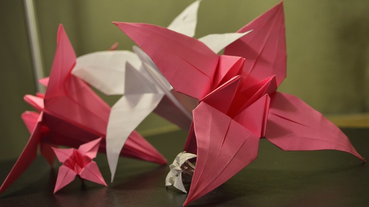 Origami: How to Make a Paper Lily