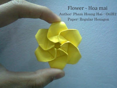 Tutorial How to make flower - hoa mai Pham Hoang Hai by Paper Ph2