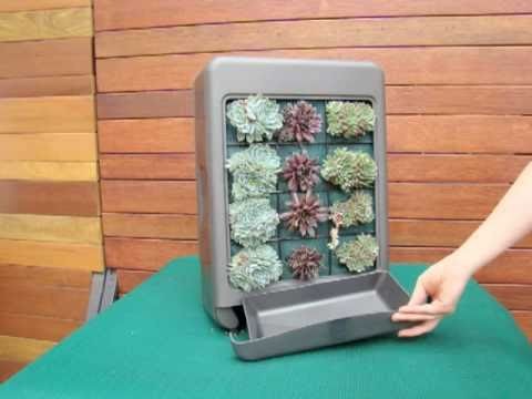 DIY Vertical Garden Mini Kit - Vertiscape