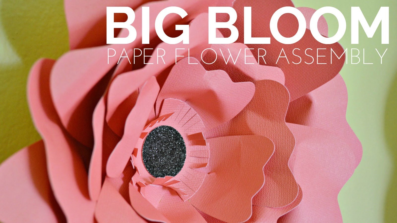 How to Assemble Recollections Big Blooms