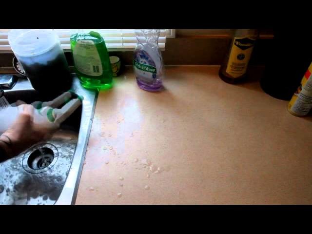 How to kill ants without pesticides or chemicals!